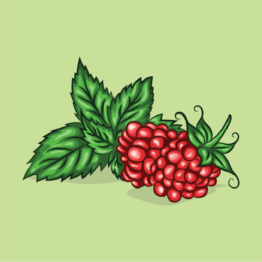 Raspberry Mint